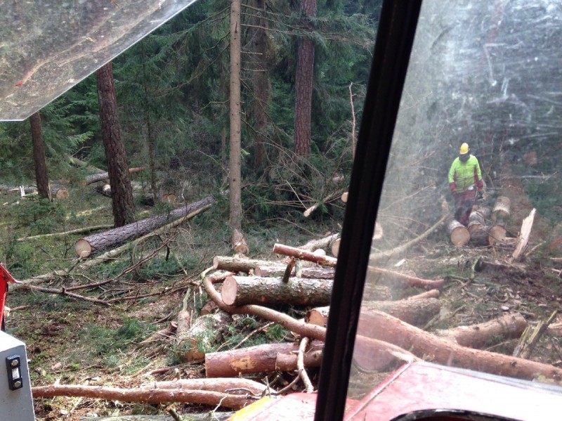 2014-02-20 11.15.58_1200x960_500KB.jpg