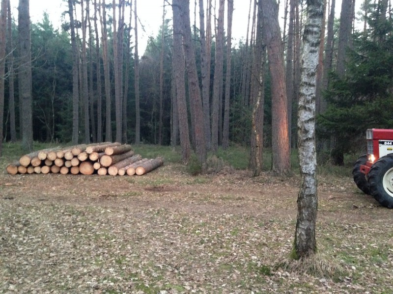 2014-02-20 17.34.56_1200x960_500KB.jpg