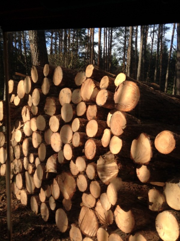 2014-02-22 12.55.15_1200x960_500KB.jpg