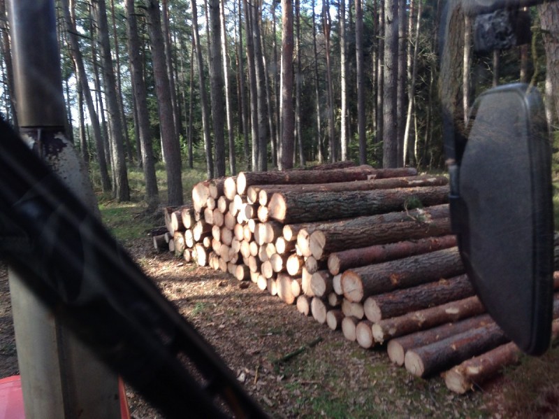 2014-02-22 12.55.27_1200x960_500KB.jpg