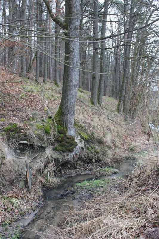 Bildla Nummä 003.jpg