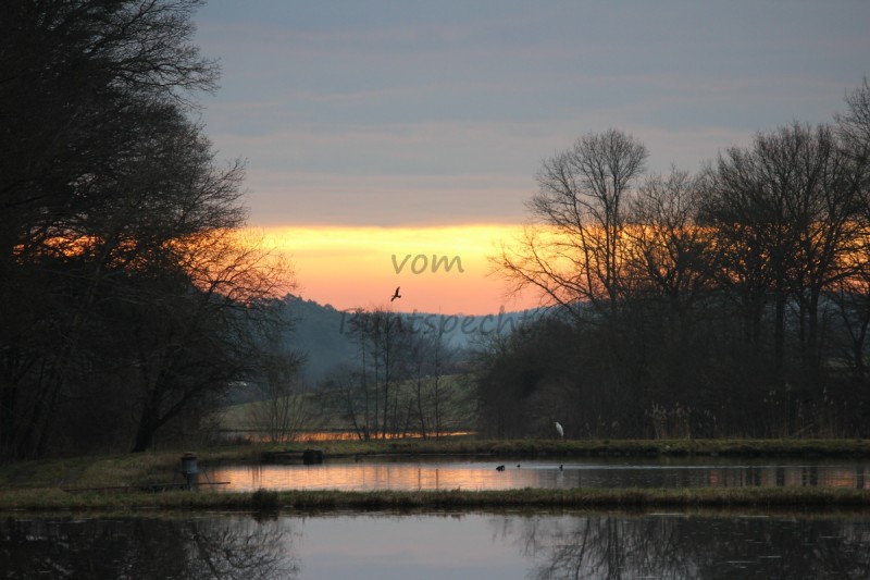 Bildla Nummä 005.jpg