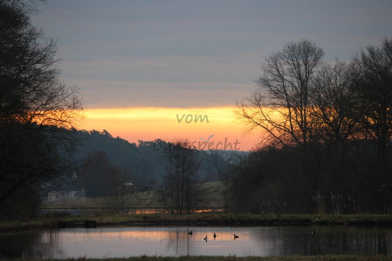 Bildla Nummä 006.jpg