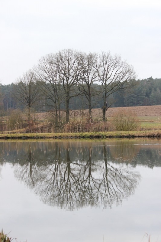 Bildla Nummä 008.jpg