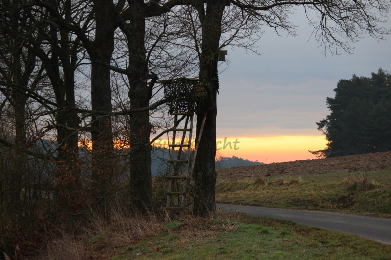 Bildla Nummä 014.jpg