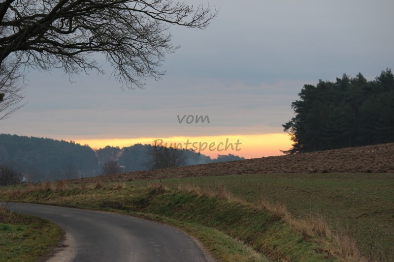 Bildla Nummä 015.jpg