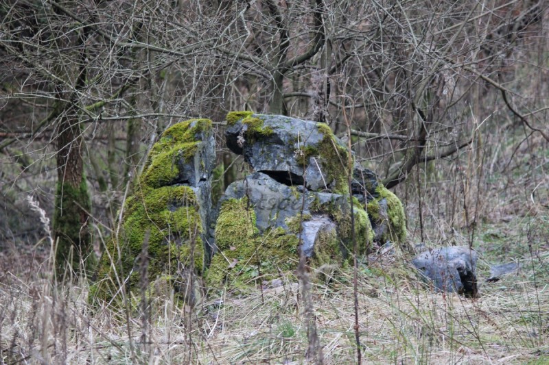 Bildla Nummä 001.jpg