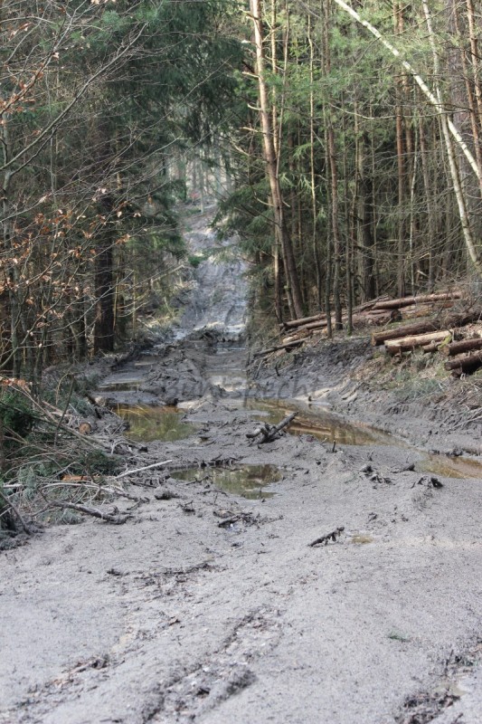 Bildla Nummä 002.jpg