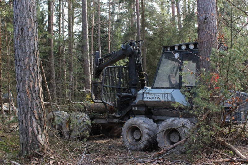 Bildla Nummä 003.jpg