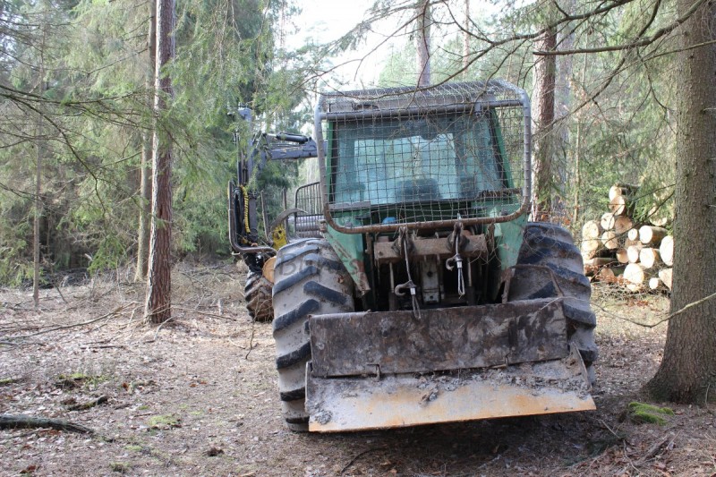 Bildla Nummä 005.jpg