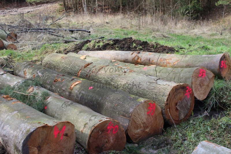 Bildla Nummä 006.jpg