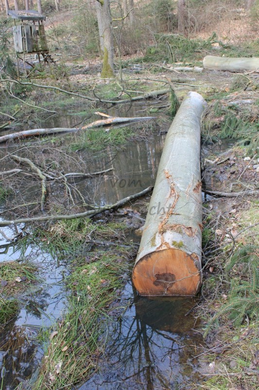 Bildla Nummä 008.jpg