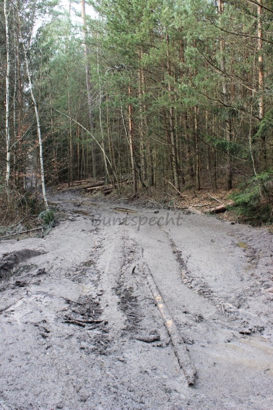 Bildla Nummä 010.jpg