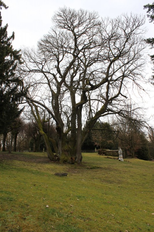 Bildla Nummä 003.jpg