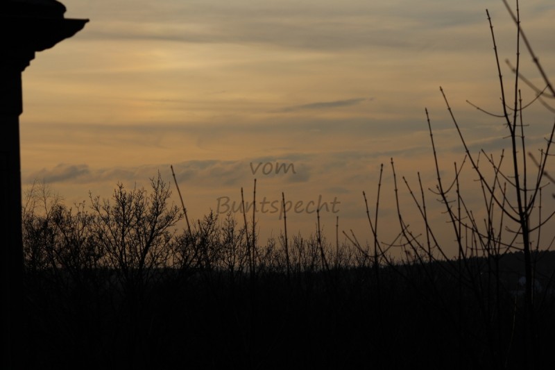 Bildla Nummä 016.jpg