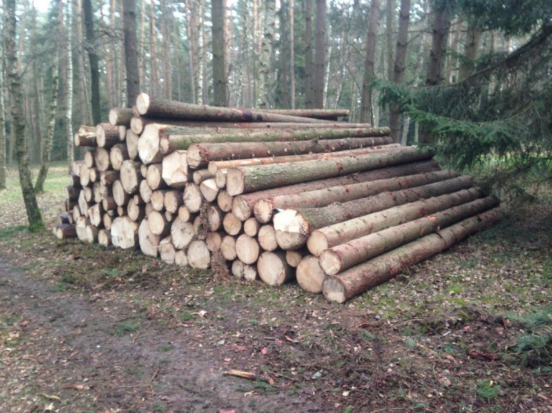 2014-03-01 16.26.13_1200x960_500KB.jpg