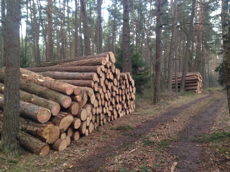 2014-03-01 16.26.23_1200x960_500KB.jpg