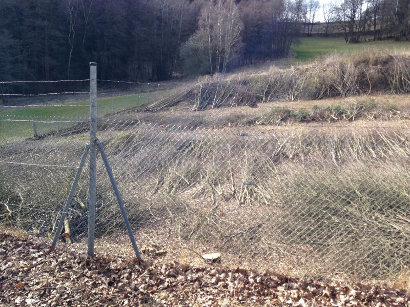 2014-02-28 14.06.25_1200x960_500KB.jpg