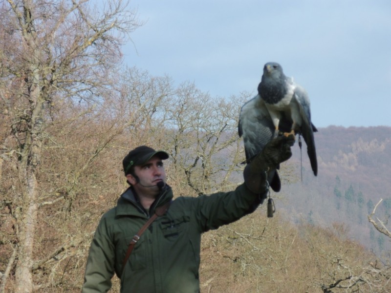 Töpferei 14 153.jpg