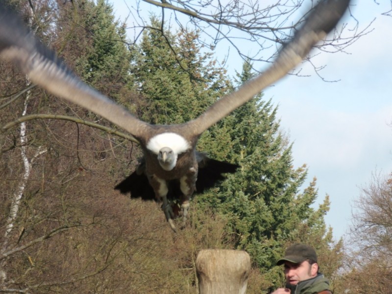 Töpferei 14 156.jpg