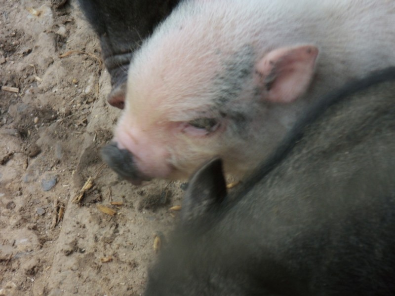 Töpferei 14 157.jpg