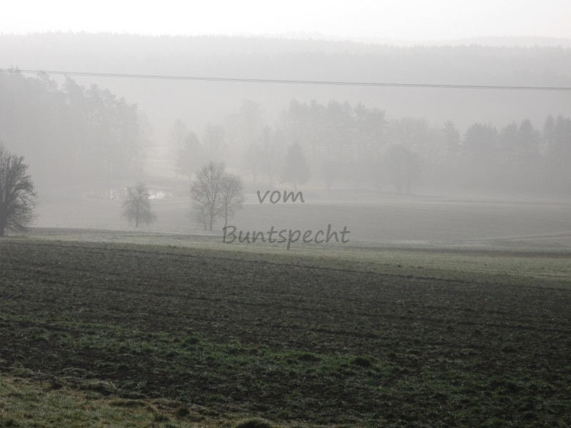 Bildla Nummä 001.jpg