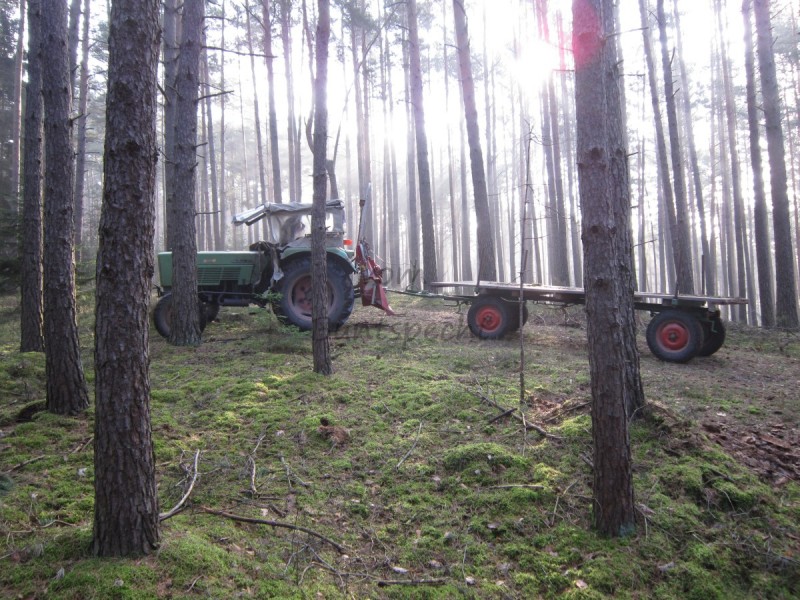 Bildla Nummä 002.jpg