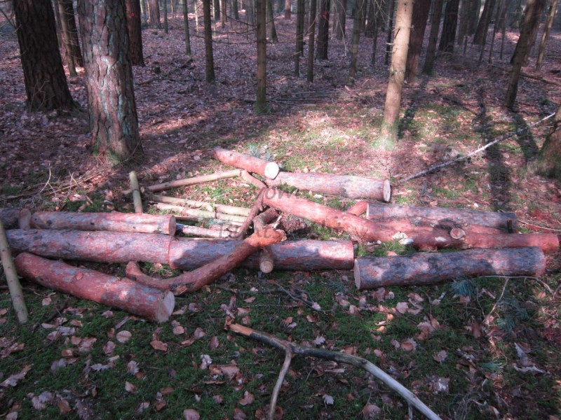 Bildla Nummä 008.jpg