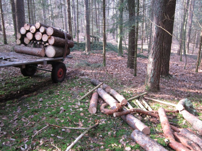 Bildla Nummä 009.jpg