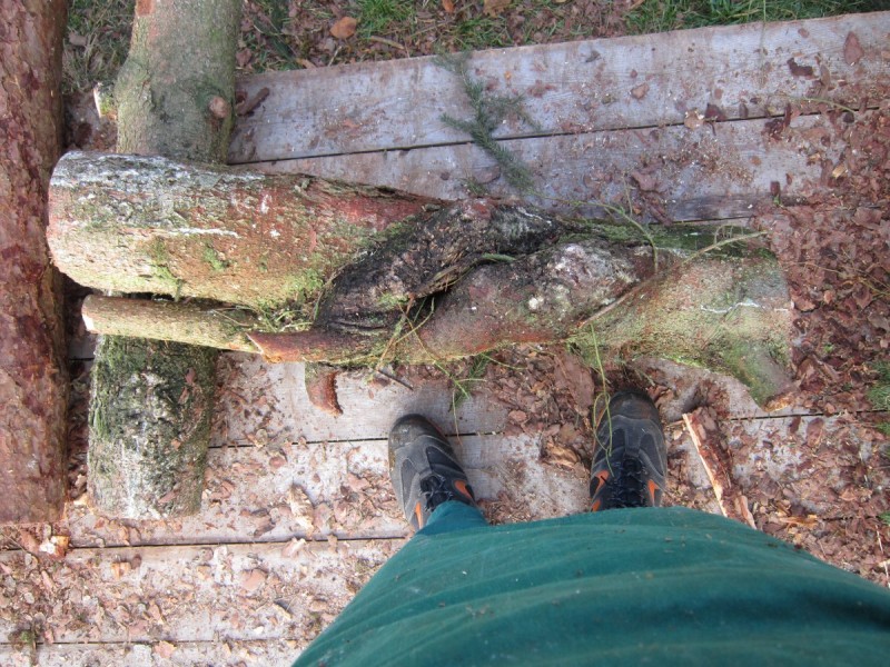 Bildla Nummä 011.jpg