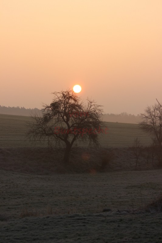 Bildla Nummä 002.jpg