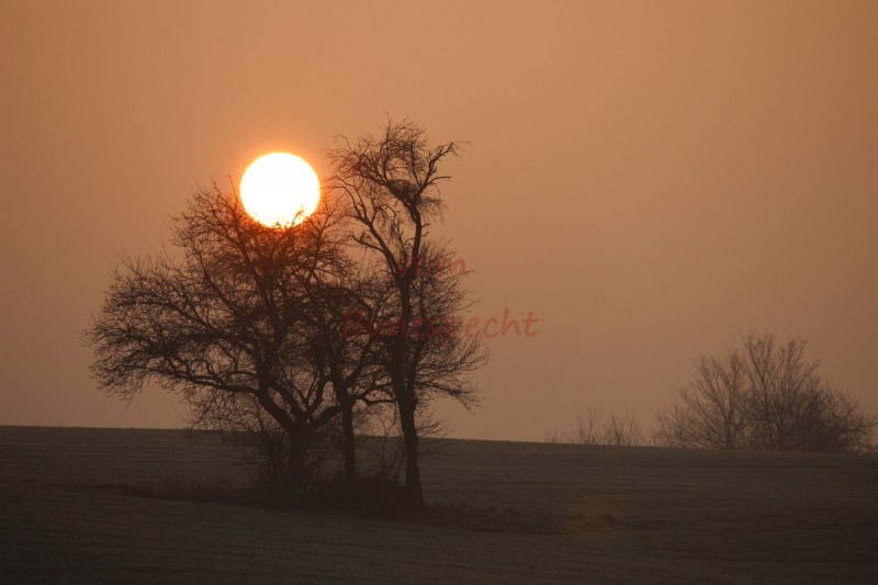 Bildla Nummä 003.jpg