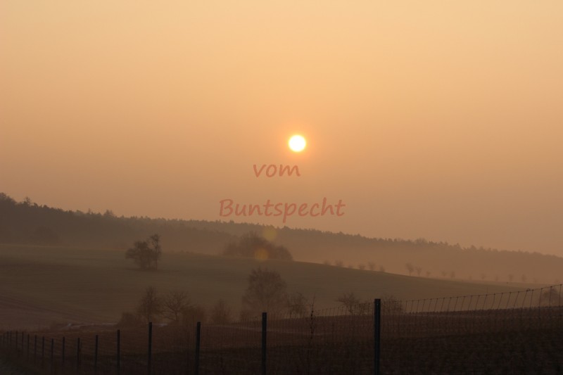 Bildla Nummä 004.jpg