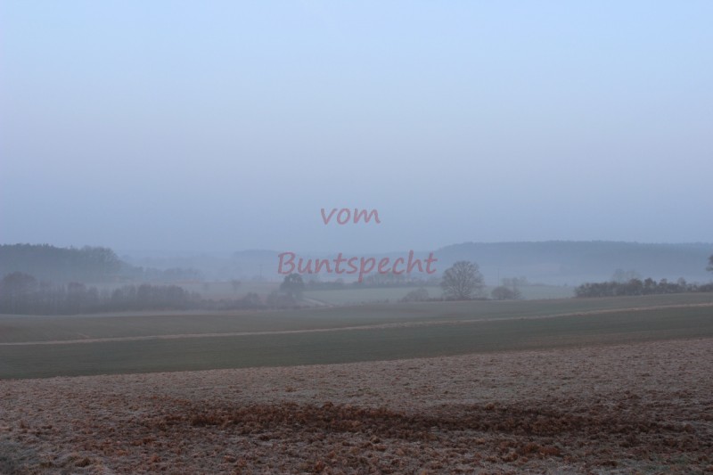 Bildla Nummä 005.jpg