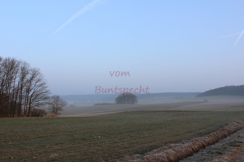 Bildla Nummä 006.jpg