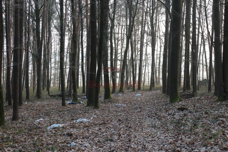 Bildla Nummä 009.jpg