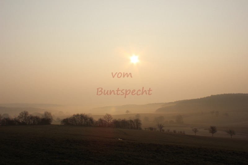 Bildla Nummä 010.jpg