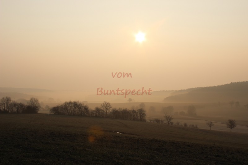 Bildla Nummä 011.jpg