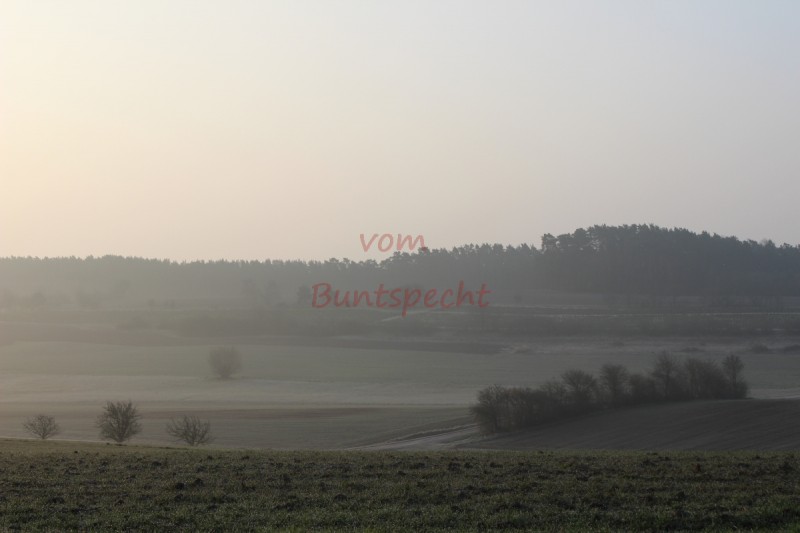 Bildla Nummä 012.jpg