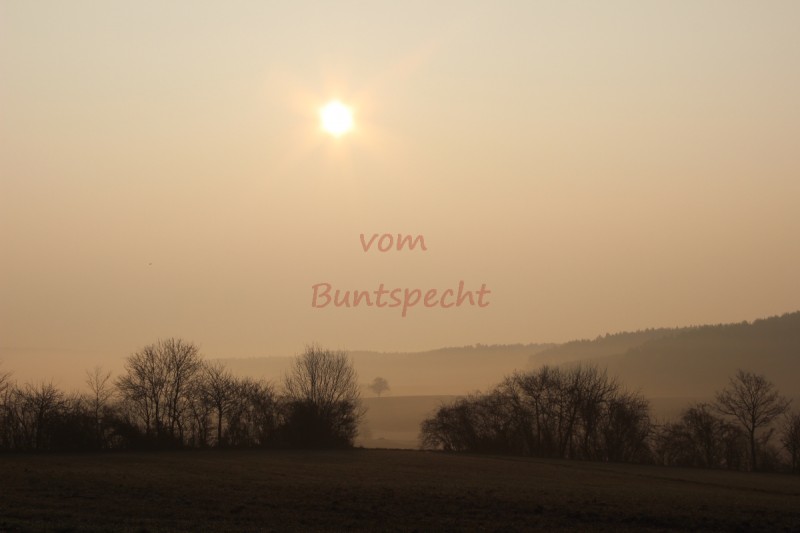 Bildla Nummä 013.jpg