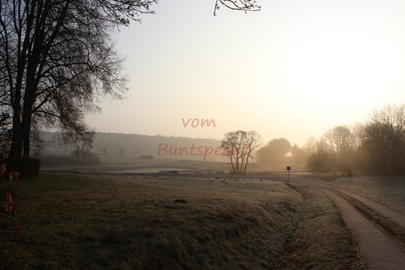 Bildla Nummä 015.jpg