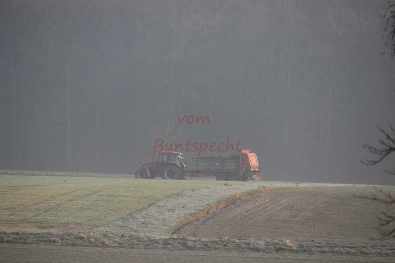 Bildla Nummä 016.jpg