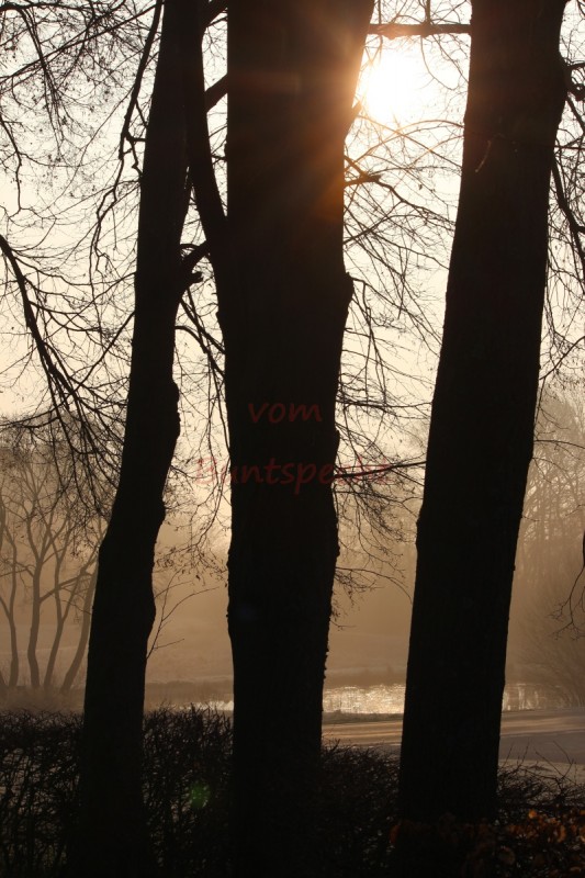 Bildla Nummä 017.jpg