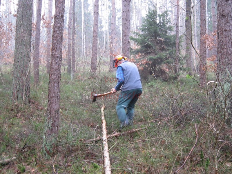 Bildla Nummä 001.jpg