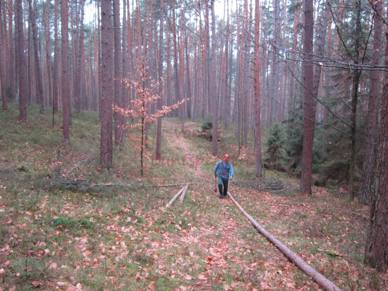 Bildla Nummä 003.jpg