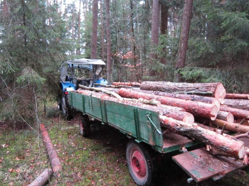 Bildla Nummä 004.jpg