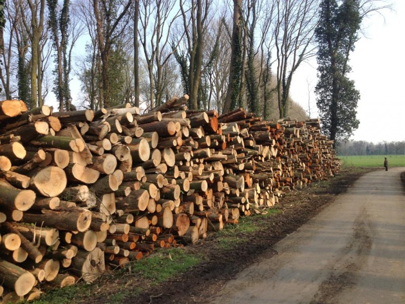 IMG_3788 (Large).jpg