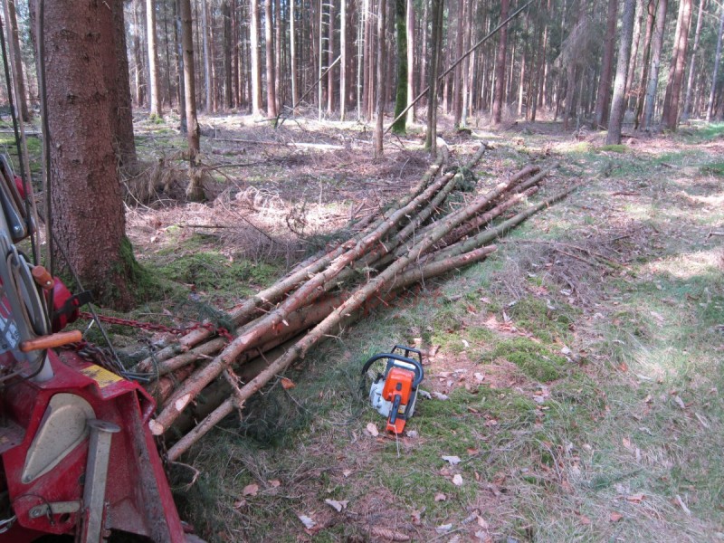 Bildla Nummä 001.jpg