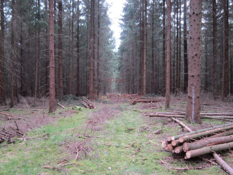 Bildla Nummä 003.jpg