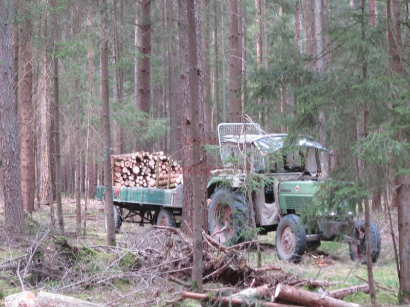 Bildla Nummä 004.jpg